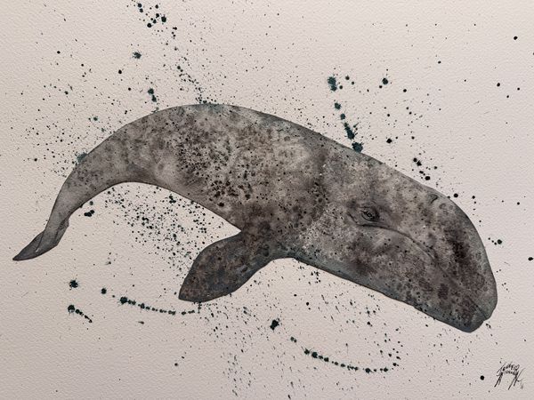 Painting by Jennifer Nicholson, watercolour and acrylic